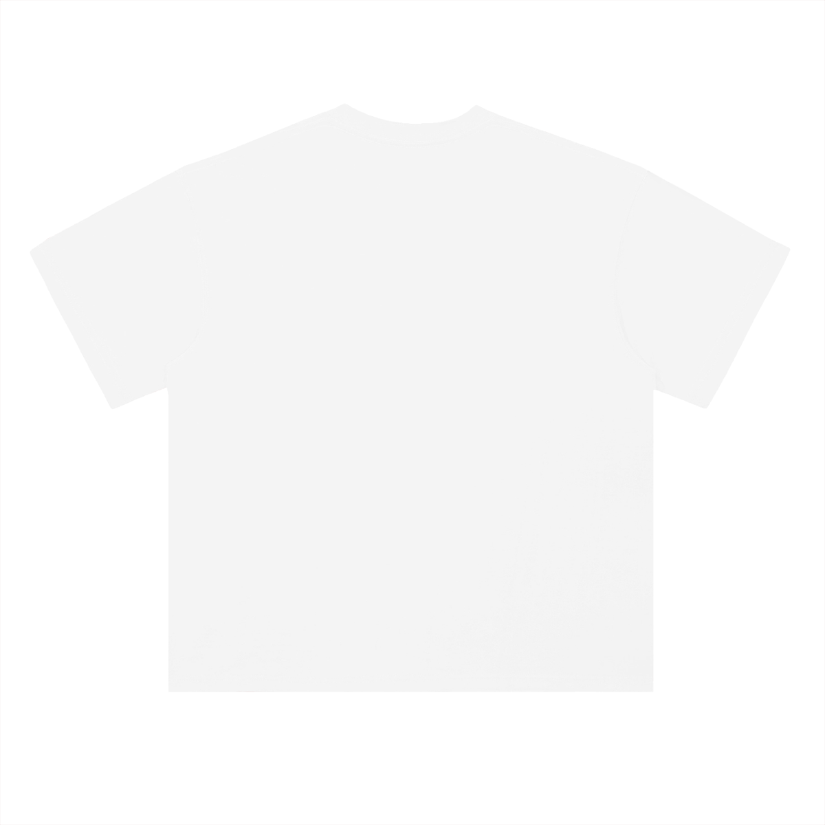 2LS Worldwide Dream Big T-Shirt